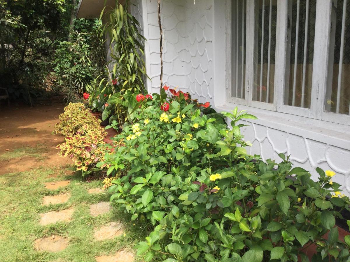 Ella Relax Inn Ngoại thất bức ảnh