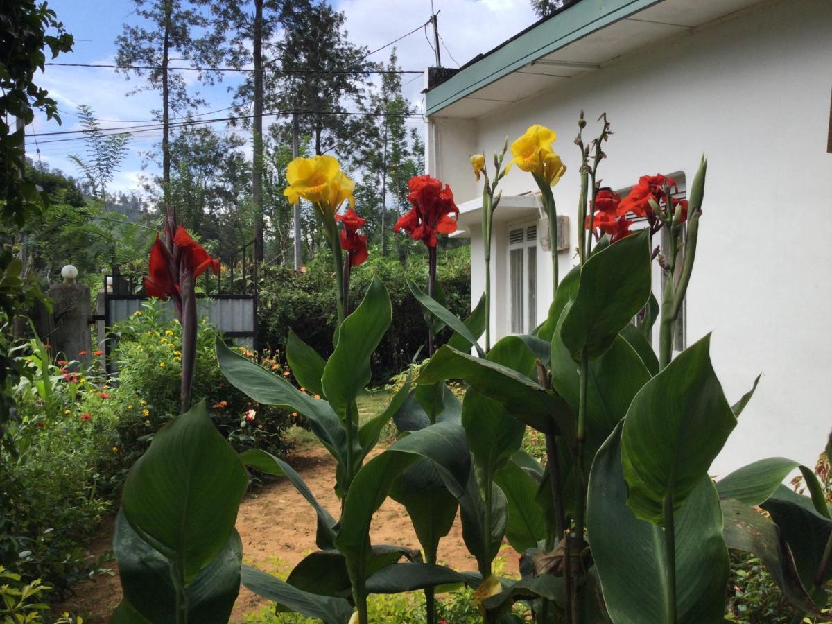 Ella Relax Inn Ngoại thất bức ảnh