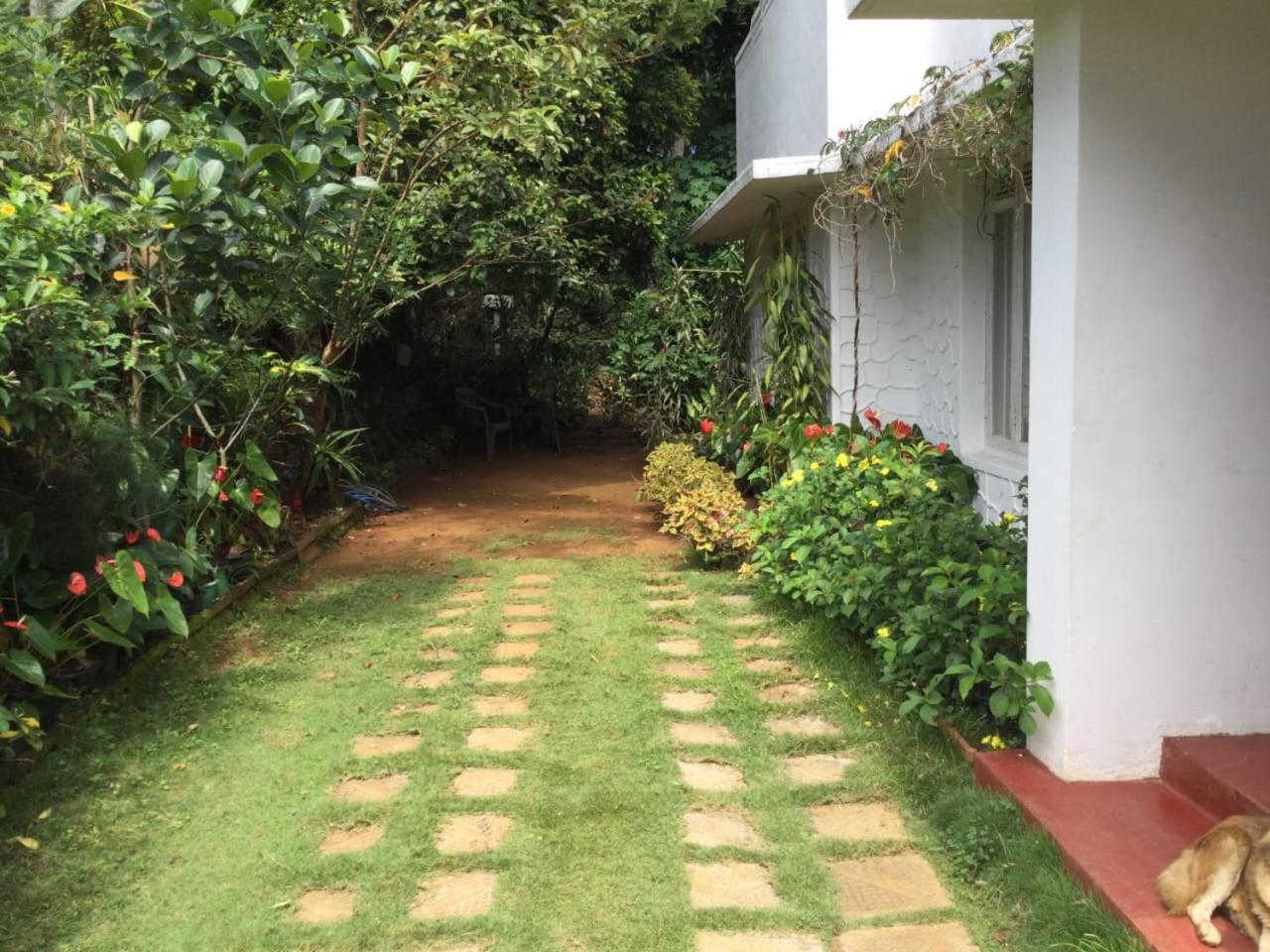 Ella Relax Inn Ngoại thất bức ảnh